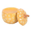 Groovy Floral Pumpkin Melter & Two Free Packets of Melts