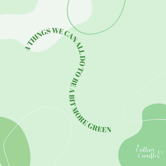 4 Things We Can All Do To Be A Bit More Green