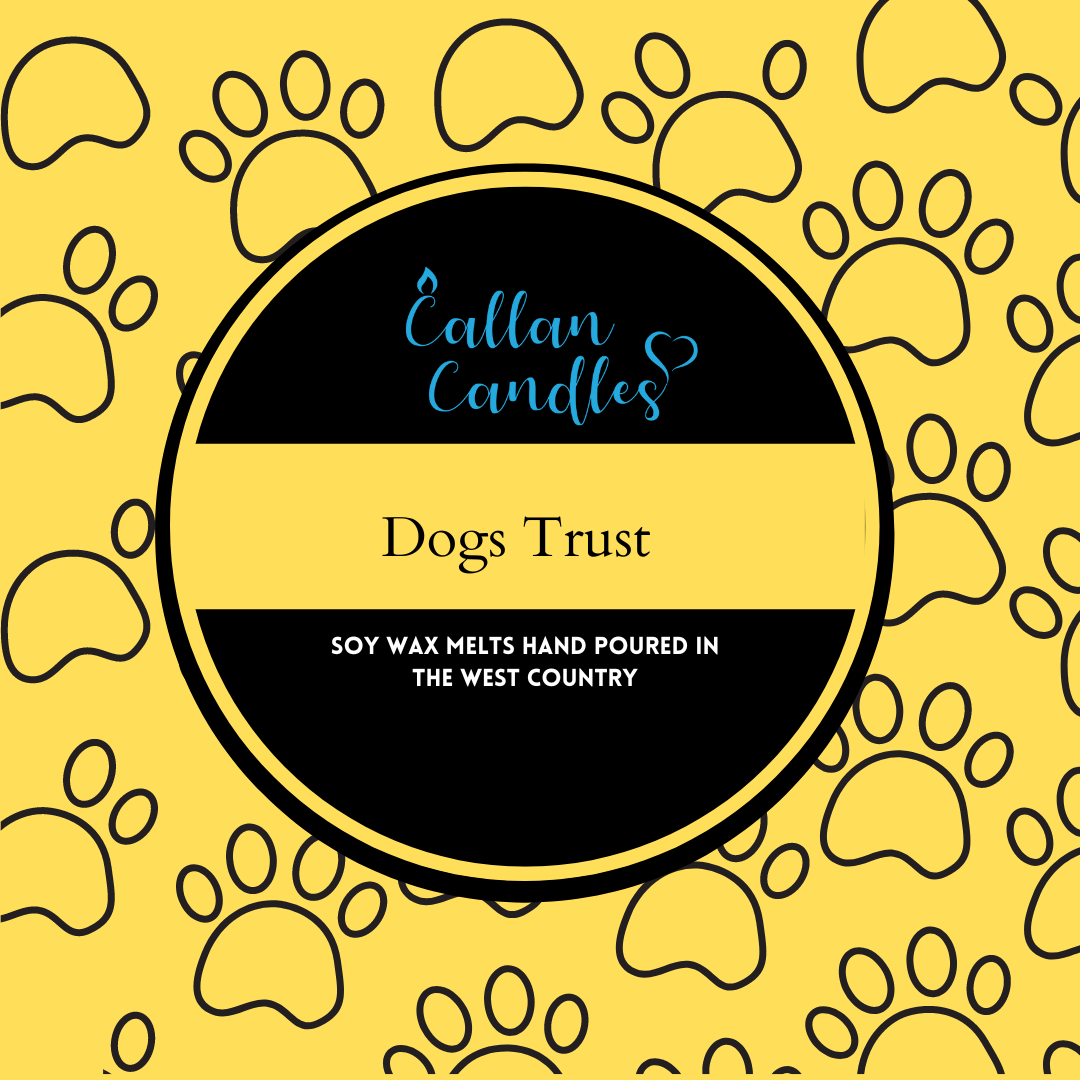 *Limited Edition* 110g Jumbo Dogs Trust Soy Wax Melt