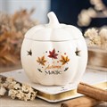 Autumn Magic Pumpkin Melter & Two Free Packets of Melts