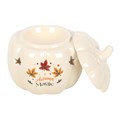 Autumn Magic Pumpkin Melter & Two Free Packets of Melts