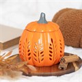Orange Autumn Days Pumpkin Wax Melt/Oil Burner with Two Free Packets of Melts