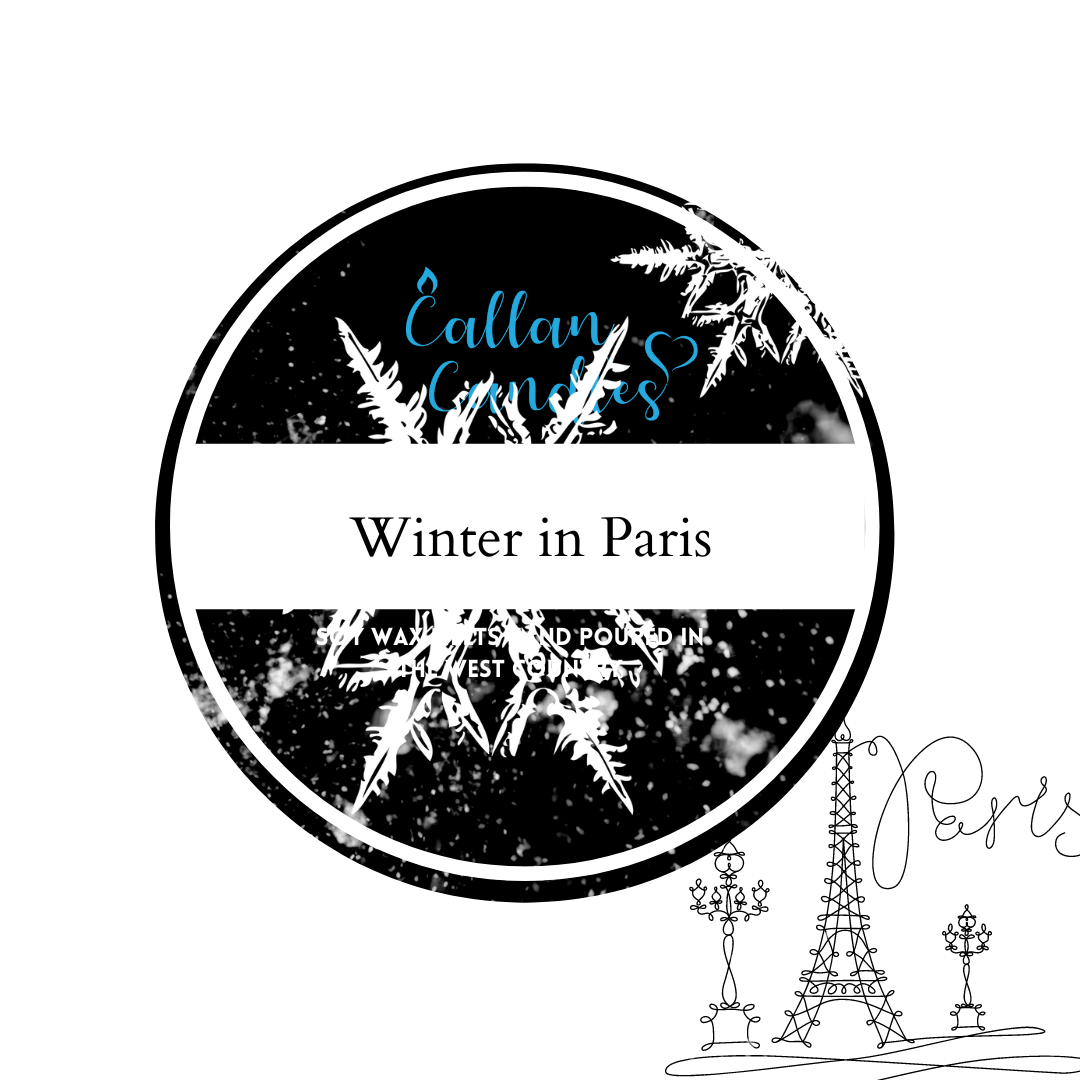 *Limited Edition* 110g Jumbo Winter in Paris Soy Wax Melt