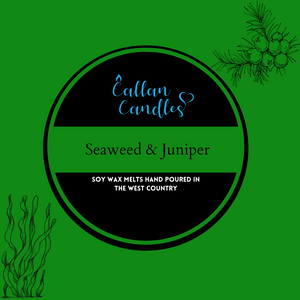 *Limited Edition* 110g Jumbo Seaweed & Juniper Soy Wax Melt