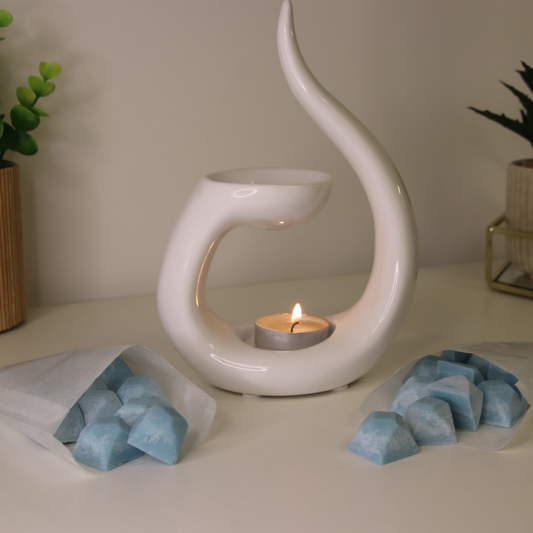 10g Blueberry & Vanilla Sample