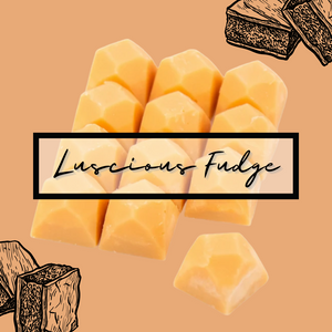Luscious Fudge 60g Gemstone Soy Wax Melt Pack