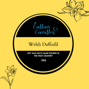 *Limited Edition* 110g Jumbo Welsh Daffodil Soy Wax Melt